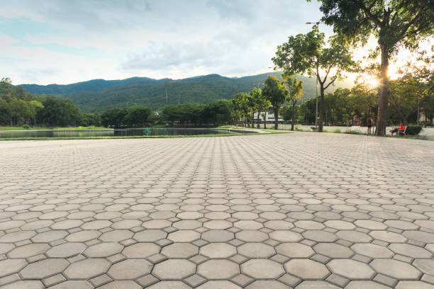 Best Driveway Pavers Near Me  in East Oakdale, CA