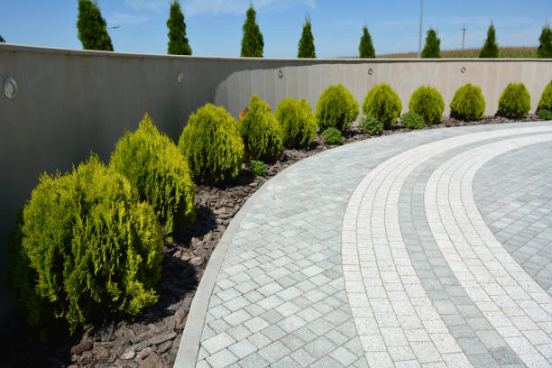 Reasons to Select Us for Your Driveway Paving Requirements in East Oakdale, CA
